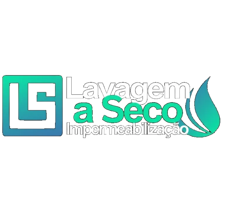 LS Lavagem a Seco Logo